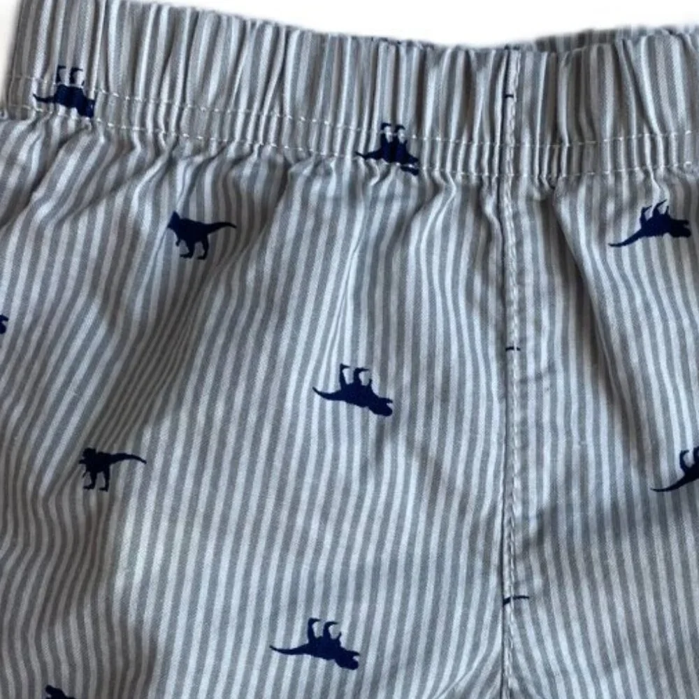 6M Boys 4 Item Spring Bundle Dinosaur